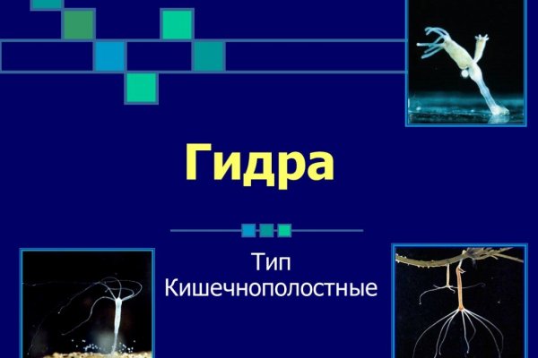 Как восстановить пароль на кракене