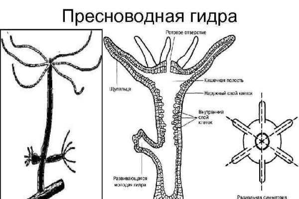 Кракен аккаунт не найден