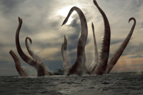 Kraken darknet marketplace